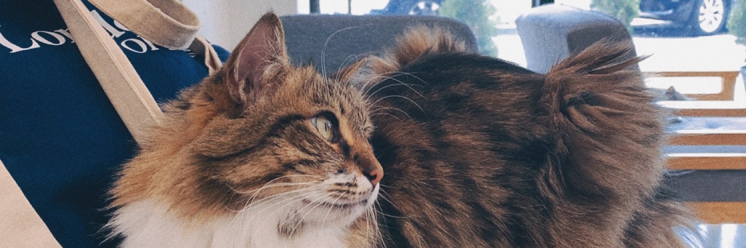 Life is bitter and sweet banner