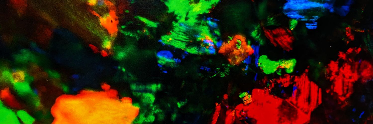 bearkoBCG banner