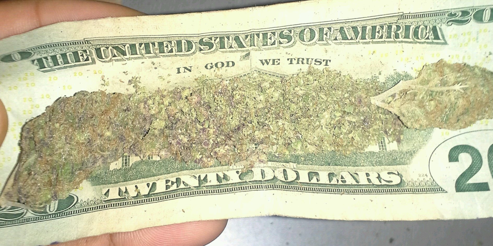 TrappaSOHigh's profile banner image
