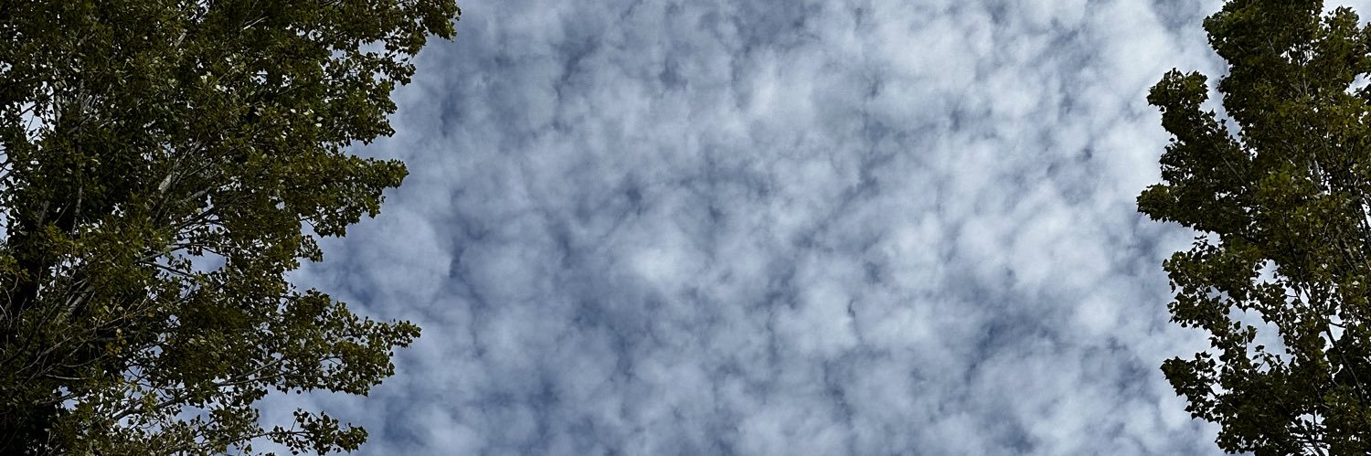 SSJR_4649's profile banner image