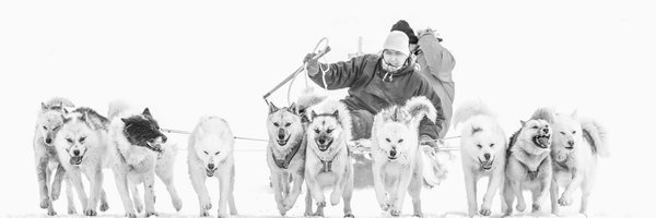 adammorganstern Profile Banner