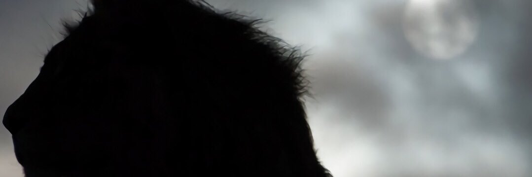 herejugo's profile banner image