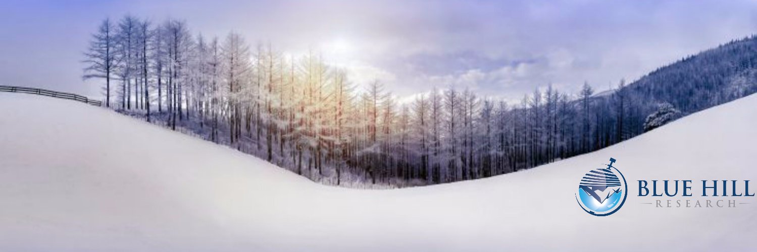 Blue Hill Research banner