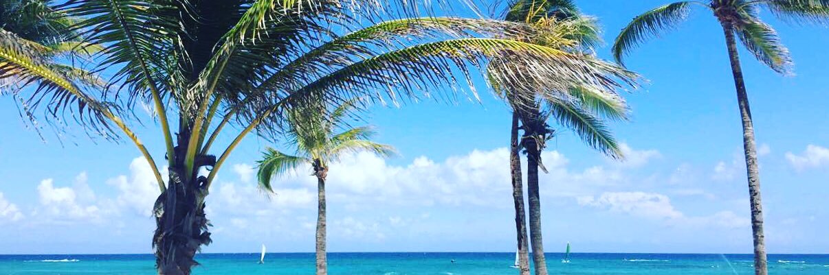VeeRee's profile banner image