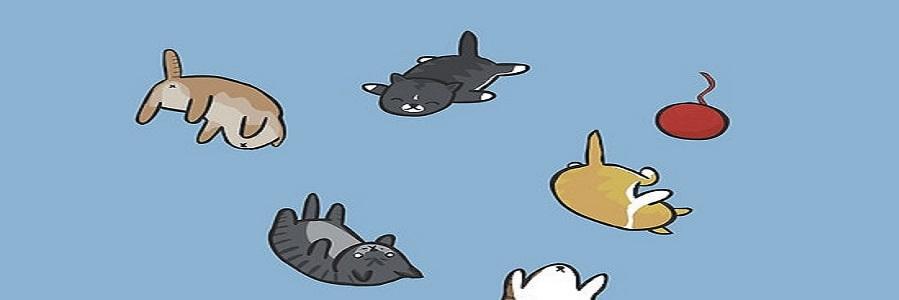 EmpressMeowMeow's profile banner image