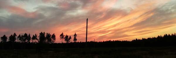 ThetfordFor_RG Profile Banner