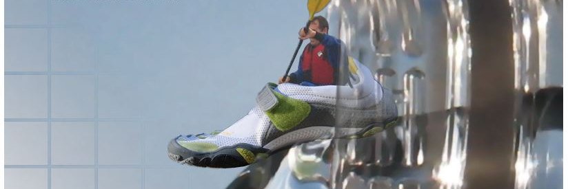 Jan Lay banner