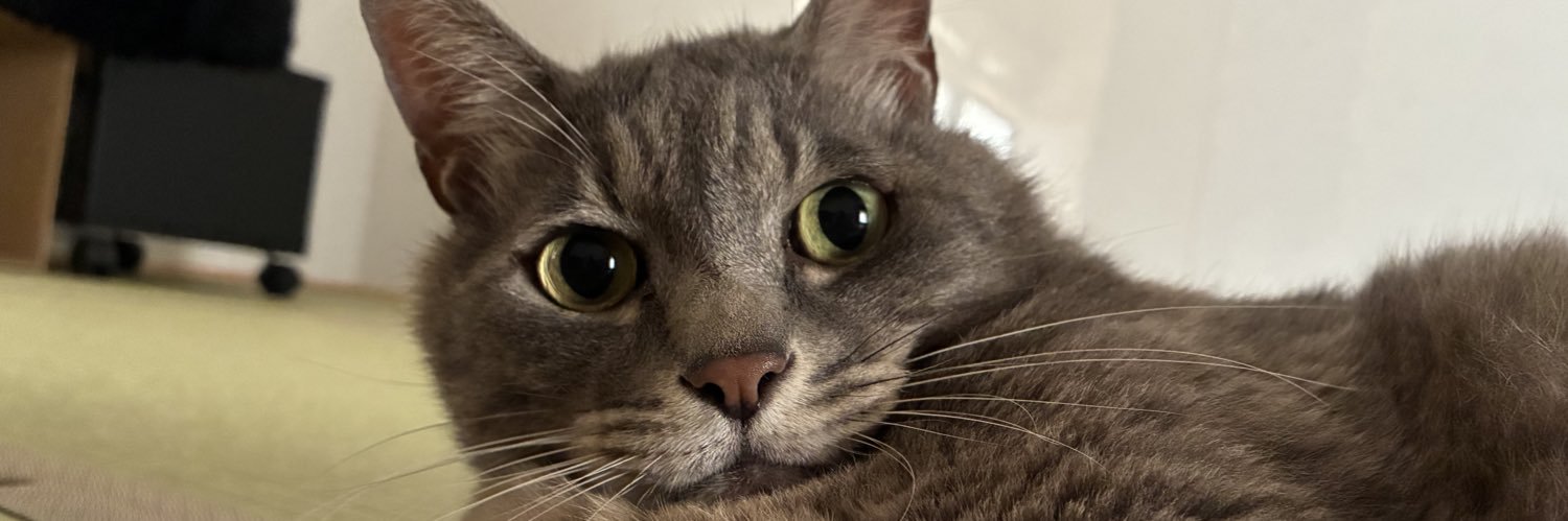 tora_berute's profile banner image
