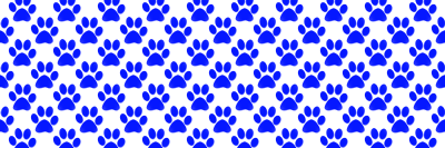 Sparrows Point MS banner