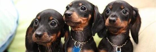 🎧Alonso Villarreal. banner