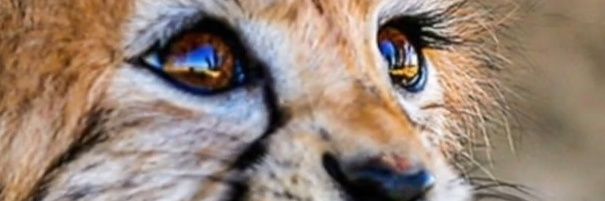 mojaver62's profile banner image