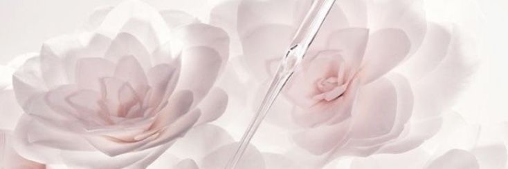 𖹭 ` banner