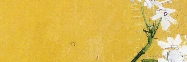 Ricopicos (COMMS OPEN!)'s banner