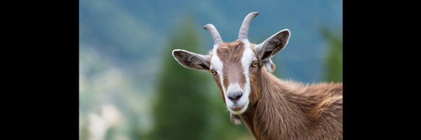 RmaDonyfc Profile Banner