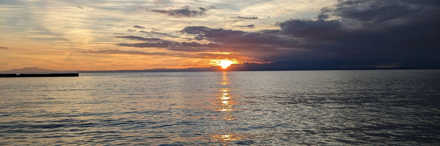 loracywy's profile banner image