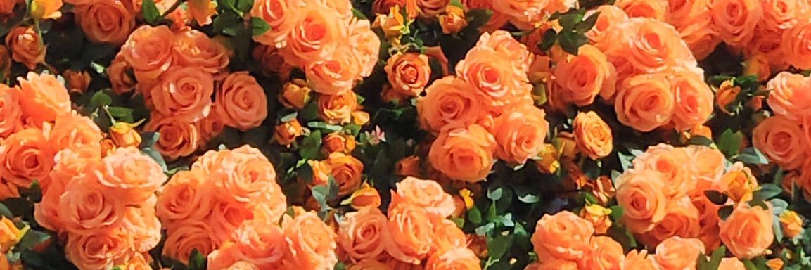 juu_movecp's profile banner image