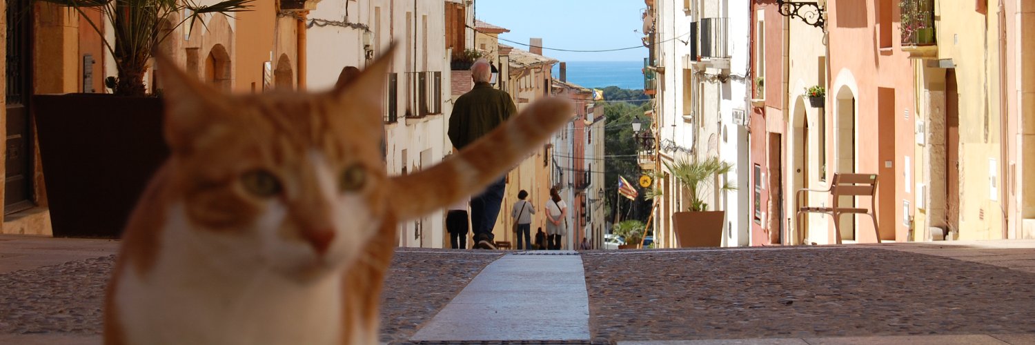 jorgevcatala's profile banner image