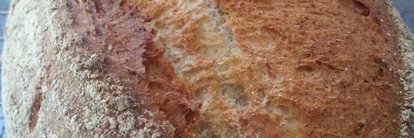 LazyBakery Profile Banner