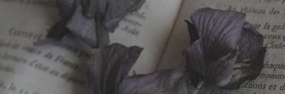 🕷 𝔻𝕚𝕒𝕞𝕖𝕥𝕦𝕤 𝕋𝕒𝕣𝕒𝕟𝕥𝕦𝕒 🕸(ติดมอ) banner