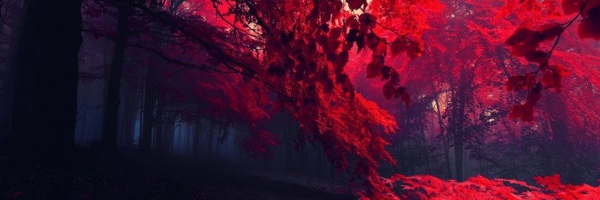 hgpistelli's profile banner image