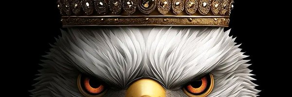 ImAmUfx Profile Banner