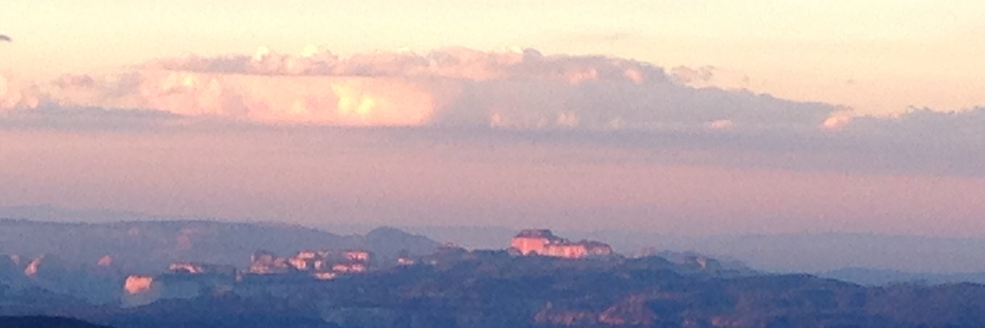 butterfly381's profile banner image