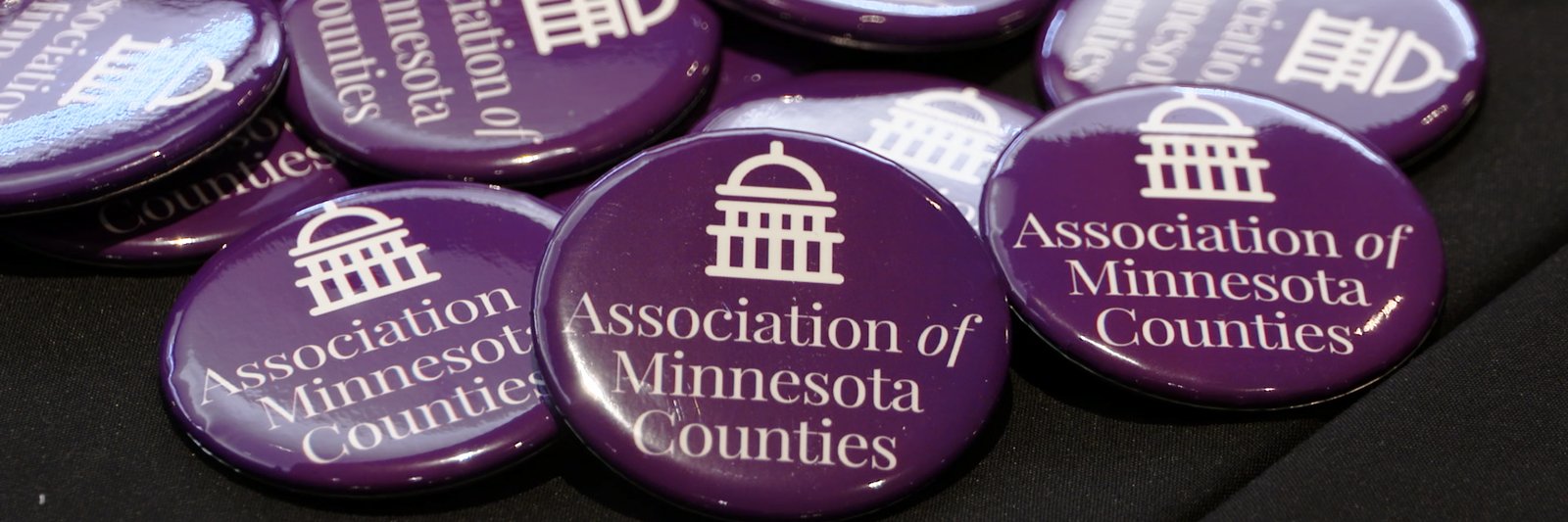 Minnesota Counties banner