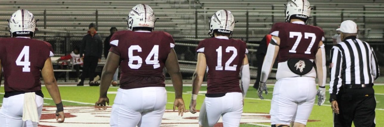 Riley Chapman banner