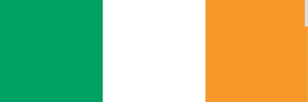 Native New Yawker banner