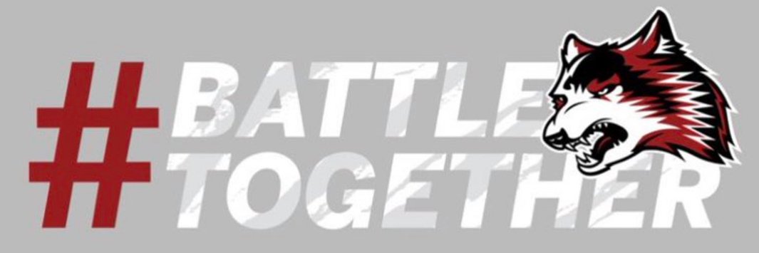 Red Wolves WBB banner