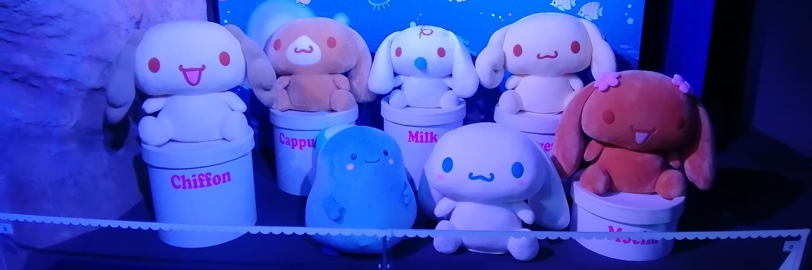 🐳タカシ🐬¦🐇💗 ¦🐿️🍼¦🌈¦🐈‍⬛☕¦↘ﾂﾂﾞｸ banner