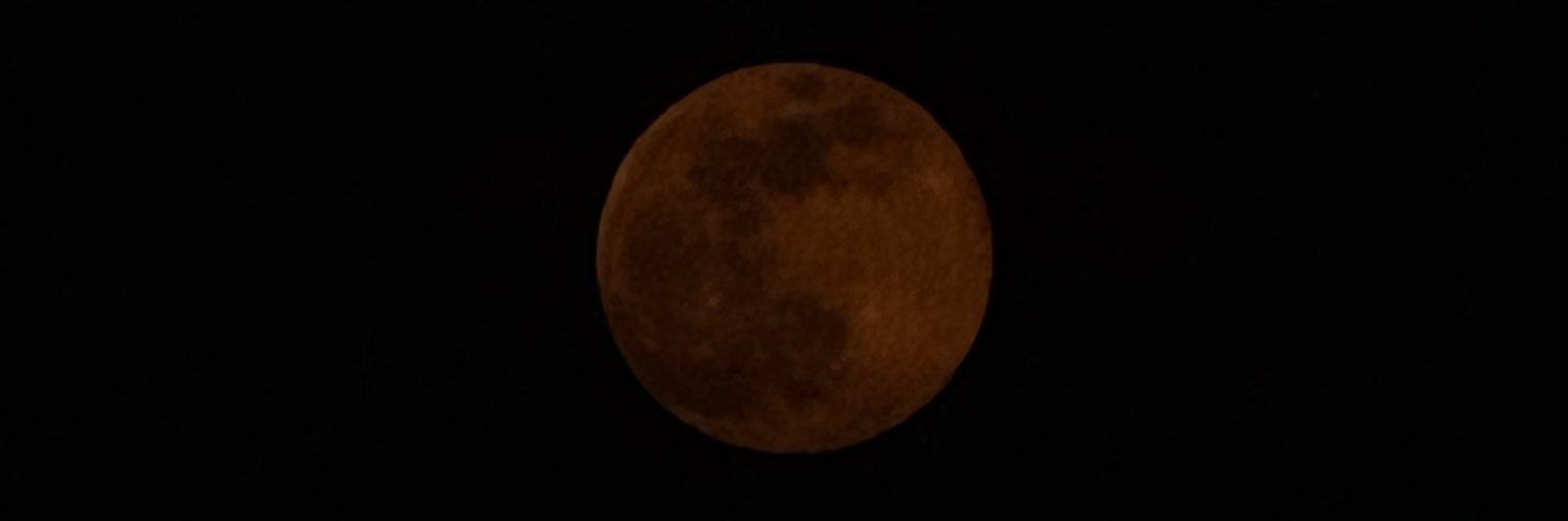 ' banner