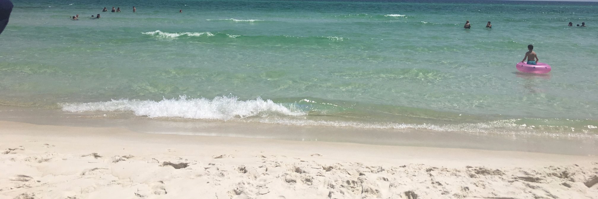 Steffanie Webb banner