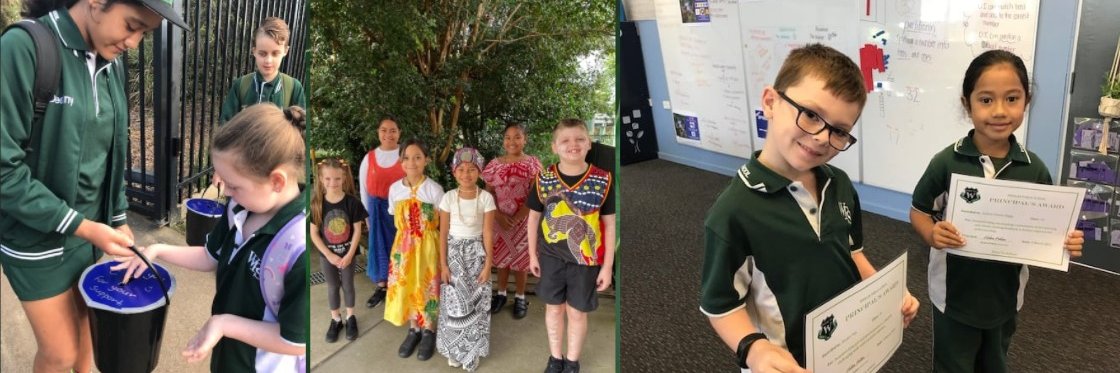 Whalan Public School banner