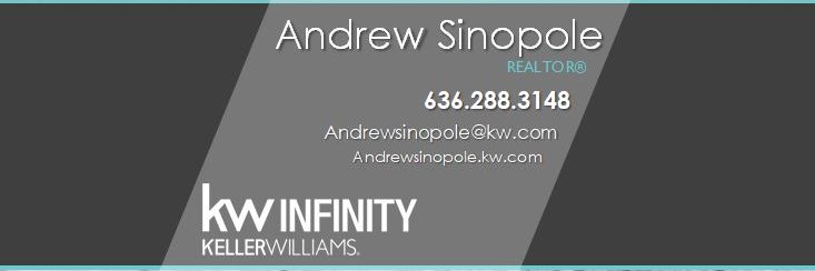 ASinopole's profile banner image