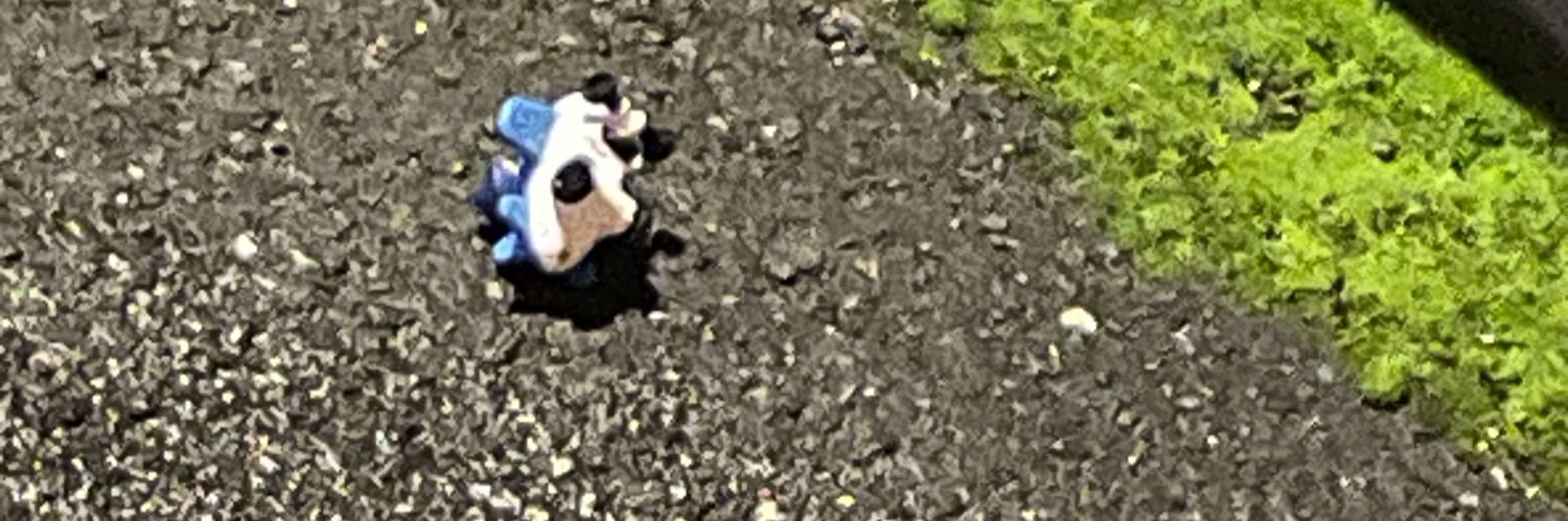 こたろー(えふ) banner