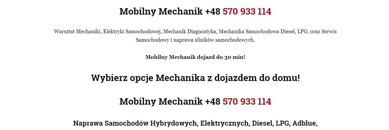 Mobilny Mechanik banner