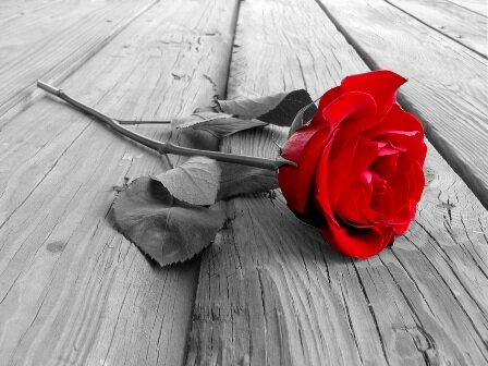 chandry_dr's profile banner image