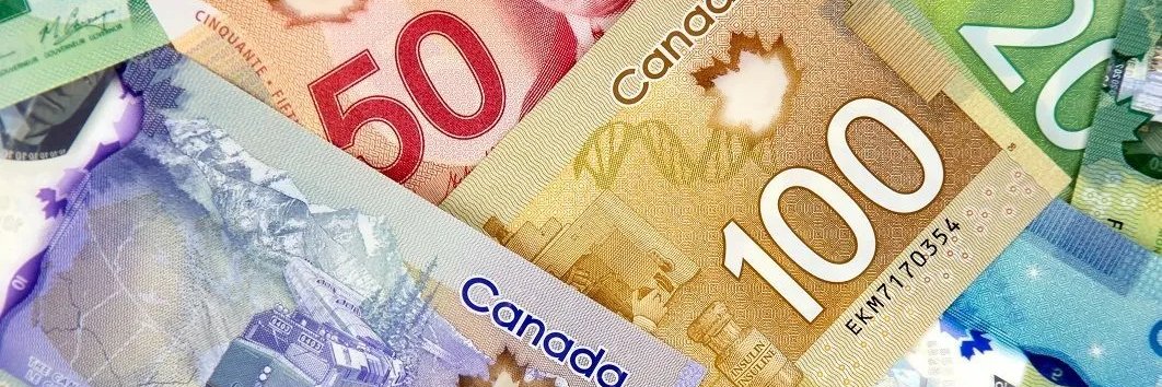 Flipping Canuck banner