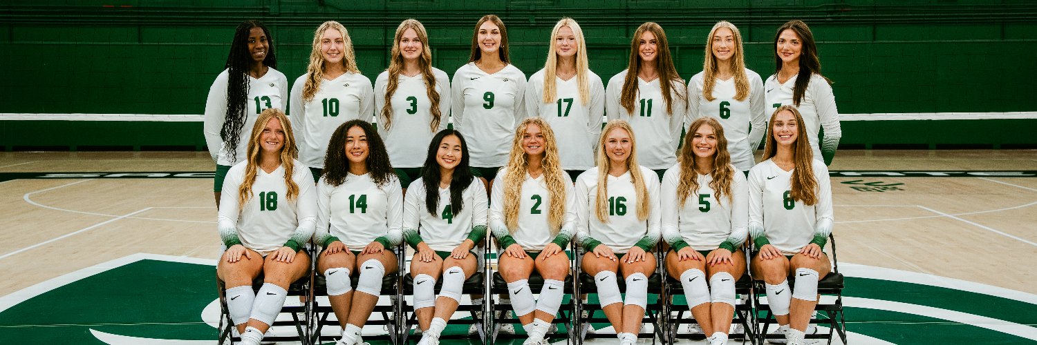 SacStateVB's profile banner image