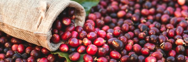 JavaGeniusLLC Profile Banner