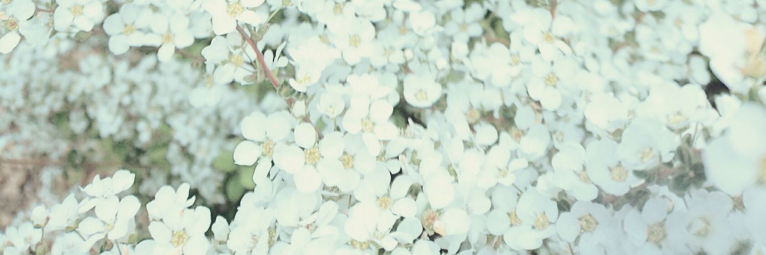 wamonyan's profile banner image