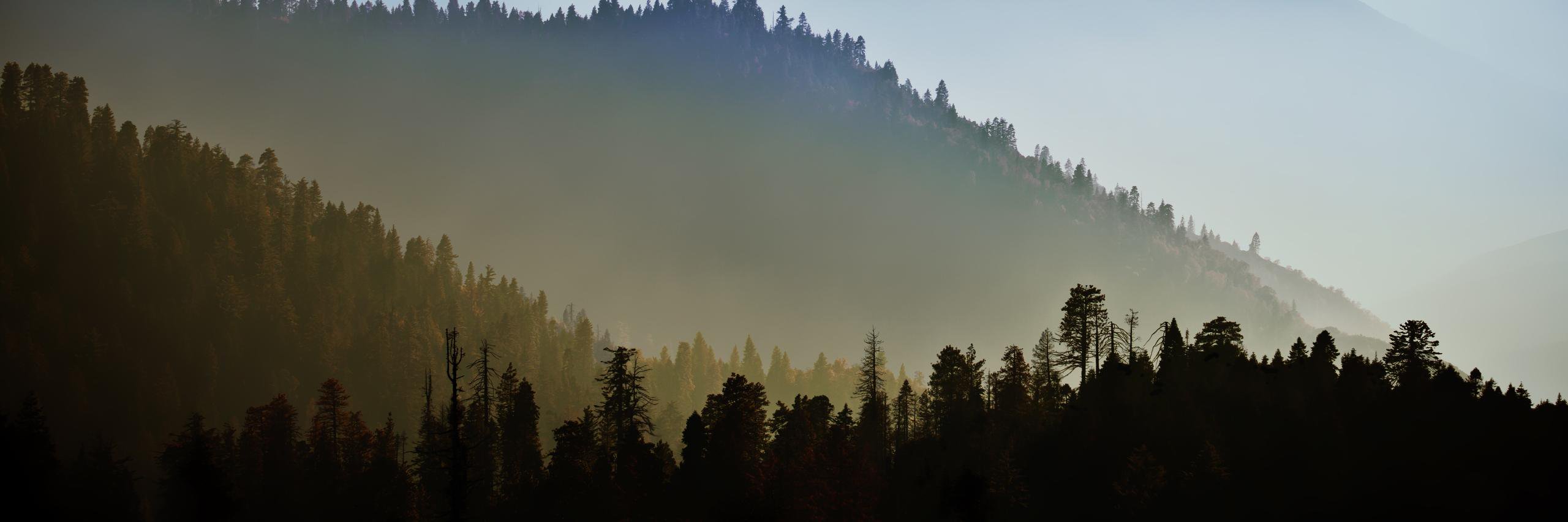 Walltreasureuk's profile banner image