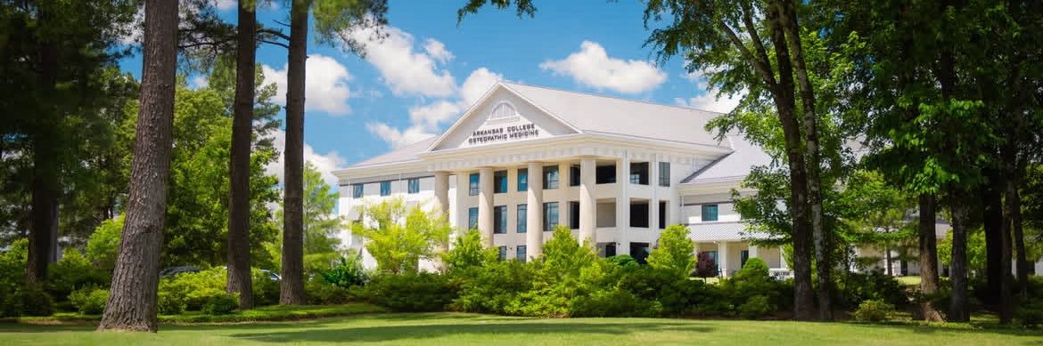 Rylee King, OMS-IV banner