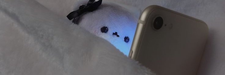 stcba59344692's profile banner image
