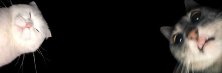 S4RM8D's profile banner image