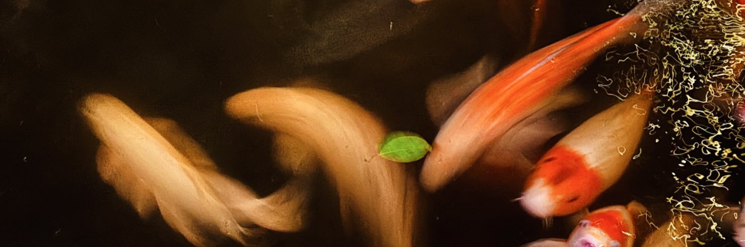 manu. banner