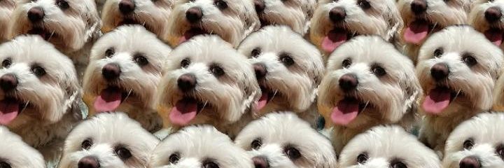 LadyLiizTyler's profile banner image