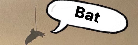 _______zachary's profile banner image