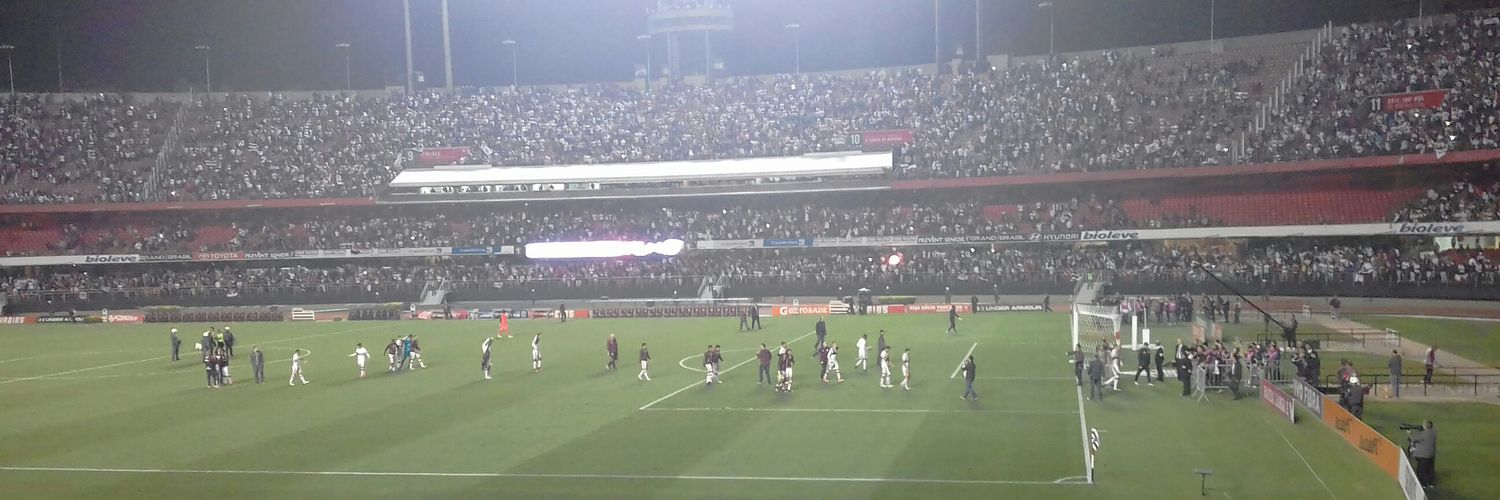 Ronaldo Silva banner
